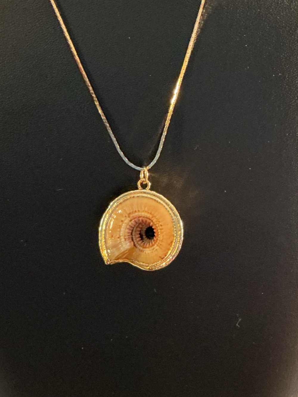 Natural Land Snail Shell Gold Tone Electroplated Pendant Necklace - Picture 3 of 4